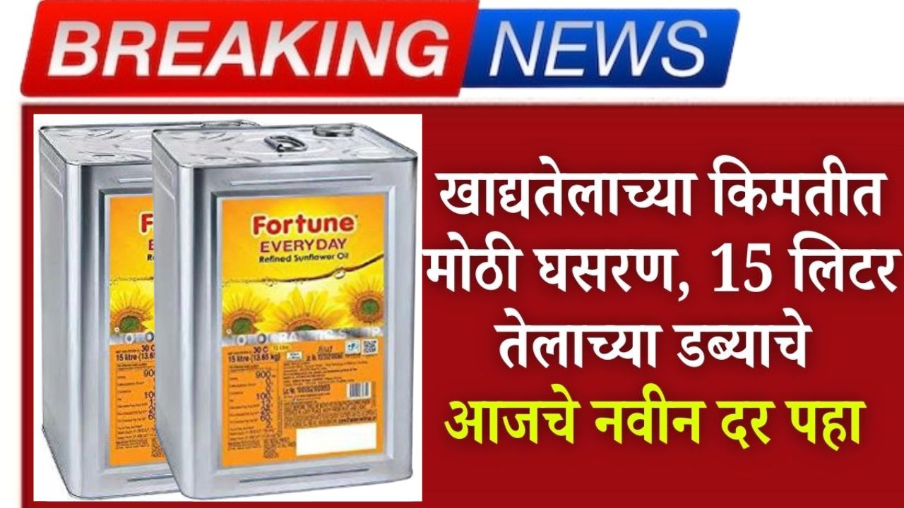 Big drop in edible oil prices
